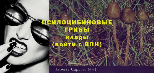 метадон Алексин