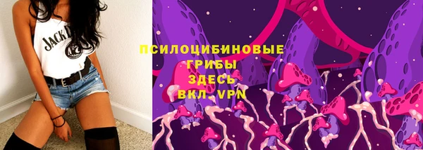 ГАЛЛЮЦИНОГЕННЫЕ ГРИБЫ Гусь-Хрустальный